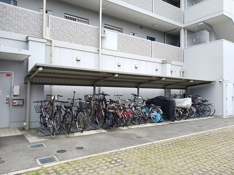 Naikan11 20251105000000