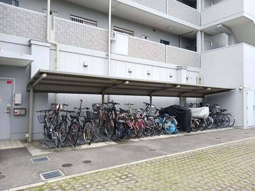 Naikan11 20251105000000 945x630