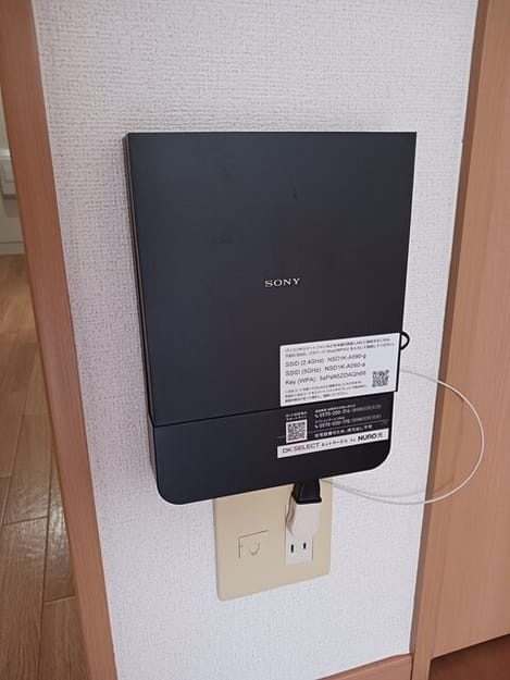 Naikan11 20250613000000
