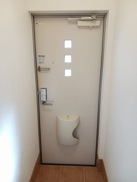 Naikan10 20250213000000 945x630