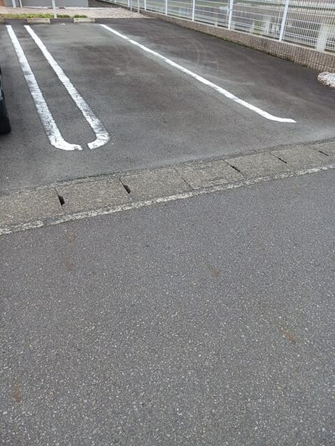 Naikan10 20250519000000