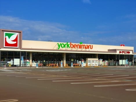 Naikan15 20260826000000