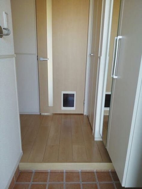 Naikan7 20250926000000 945x630
