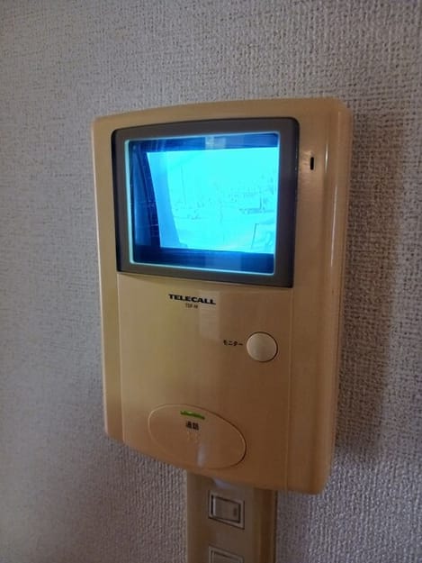 Naikan11 20250917000000