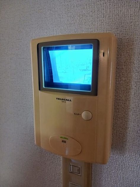 Naikan11 20250917000000 945x630