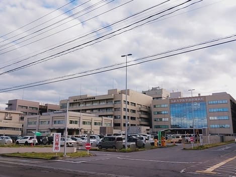 Naikan16 20260625000000