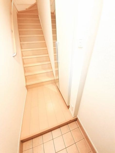 Naikan8 20240306000000 945x630