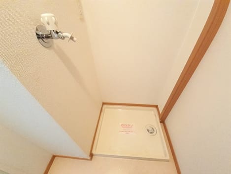 Naikan11 20230113000000