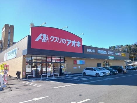 Naikan14 20250116000000