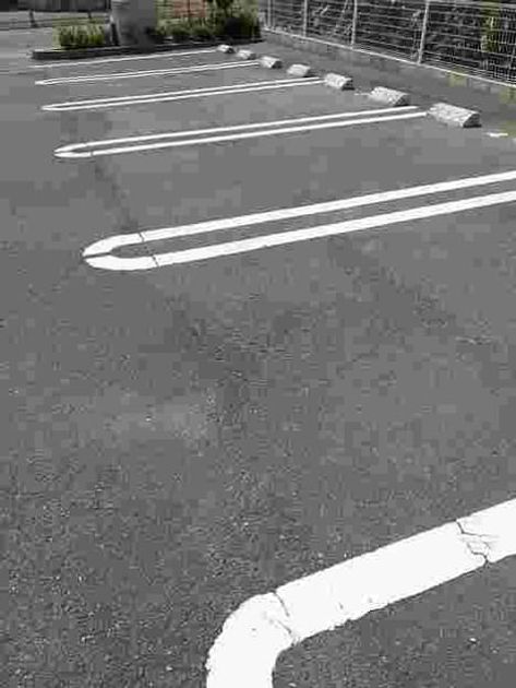 Naikan11 20260216000000 945x630