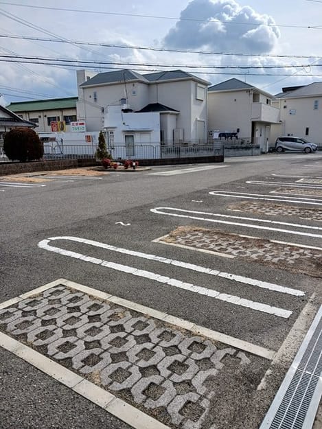 Naikan10 20250203000000