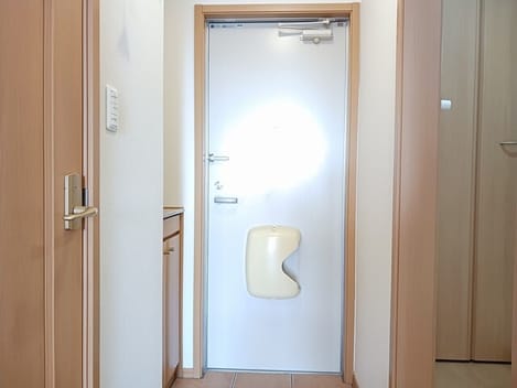 Naikan9 20250409000000