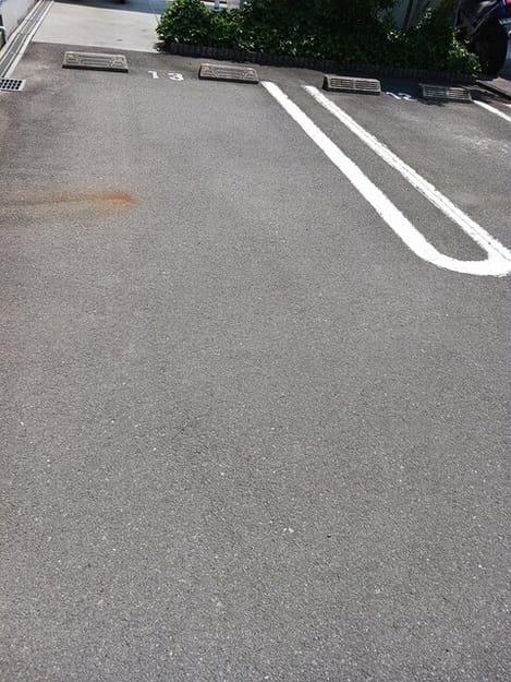 Naikan11 20250701000000