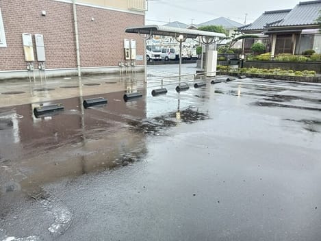 Naikan11 20250821000000