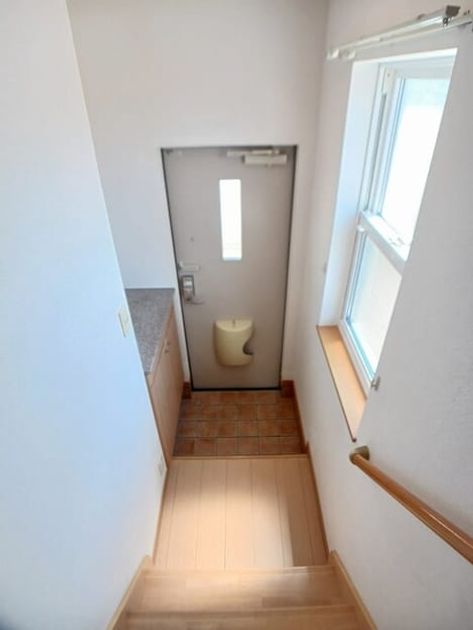 Naikan6 20250728000000 945x630