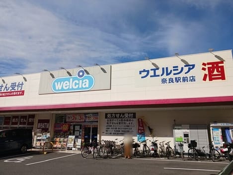 Naikan17 20261029000000