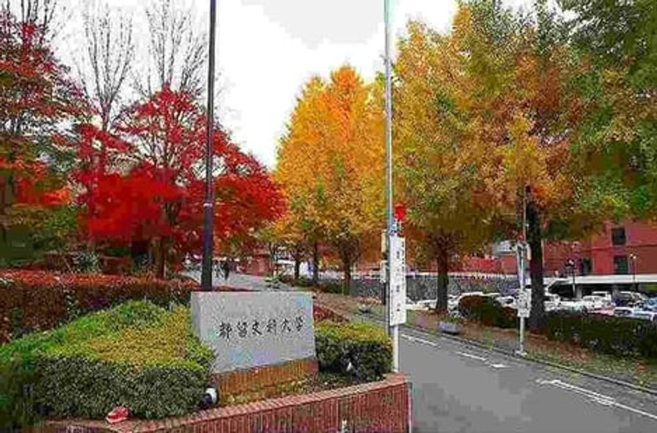 Naikan17 20250602000000 945x630