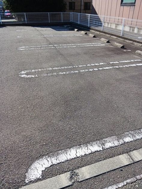 Naikan11 20251215000000 945x630