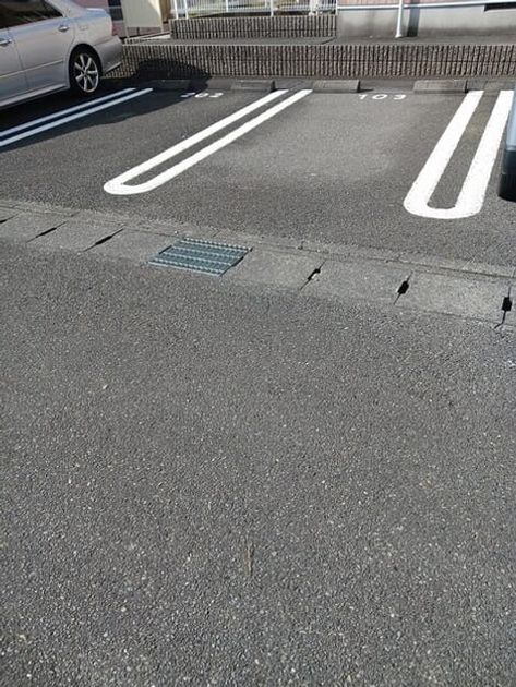 Naikan11 20251219000000 945x630