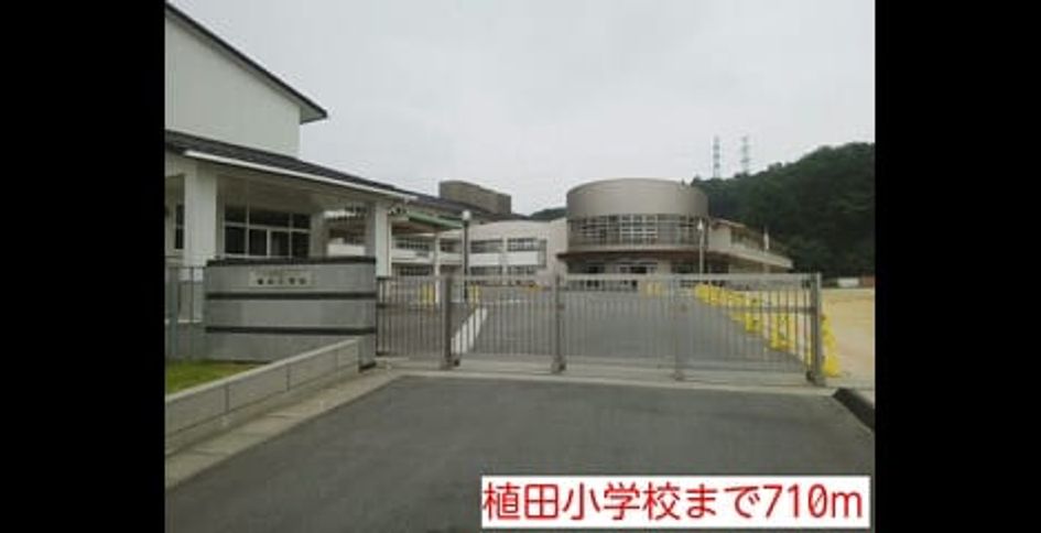 Naikan15 20140820000000 945x630