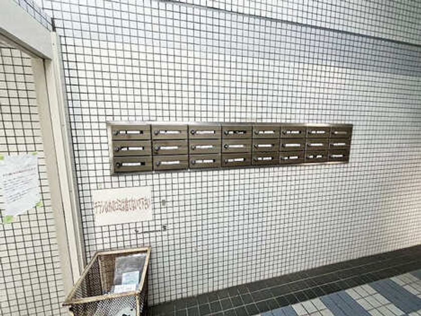 Naikan20 20260129221832 945x630