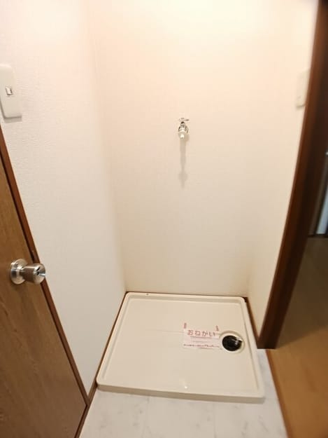 Naikan10 20260302000000