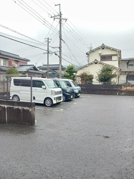 Naikan11 20260303000000