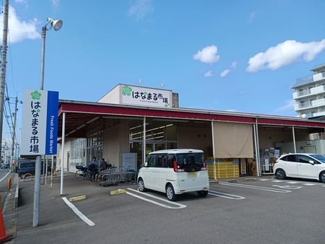 Naikan13 20241011000000