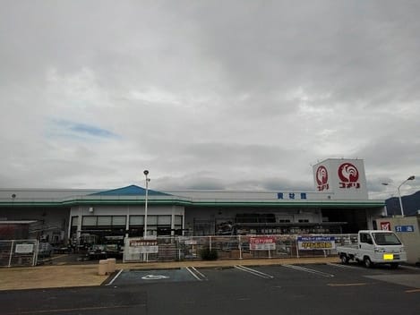 Naikan16 20231101000000