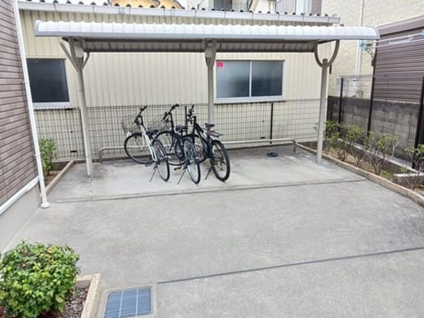 Naikan10 20260302000000 945x630