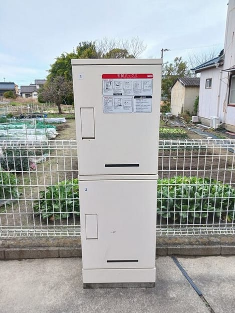 Naikan11 20260303000000
