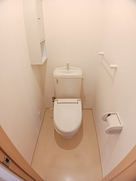 Naikan11 20260206000000