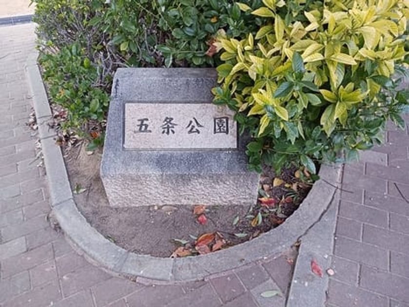 Naikan17 20251120000000 945x630