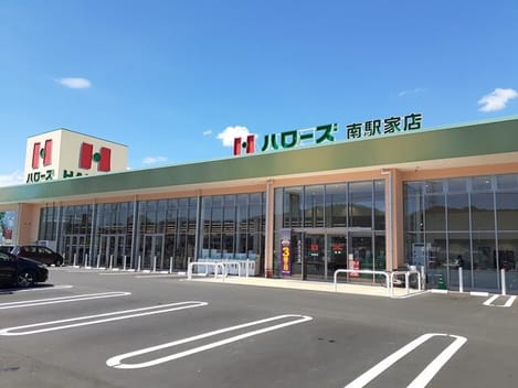 Naikan17 20260122000000