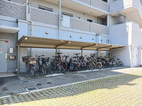 Naikan11 20260904000000