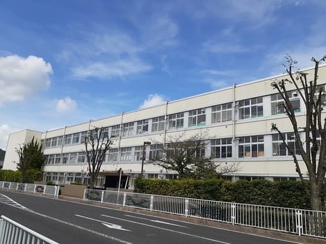 Naikan17 20241017000000