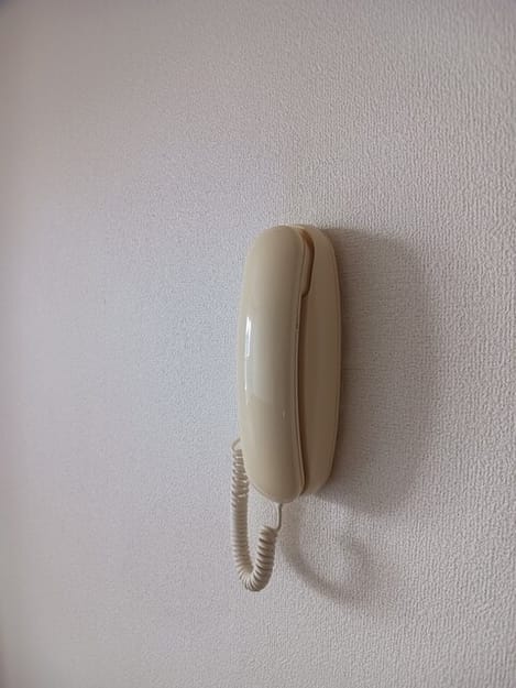 Naikan9 20260514000000