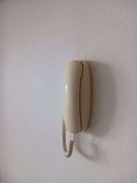 Naikan9 20260514000000 945x630