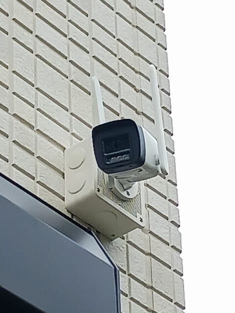 Naikan9 20260601000000