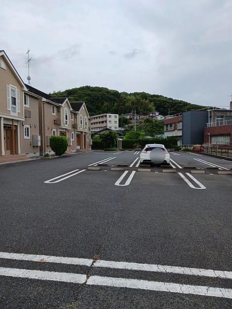 Naikan11 20260611000000