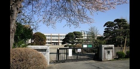 Naikan16 20260224000000