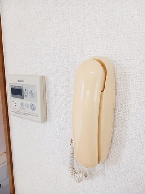 Naikan12 20260410000000 945x630