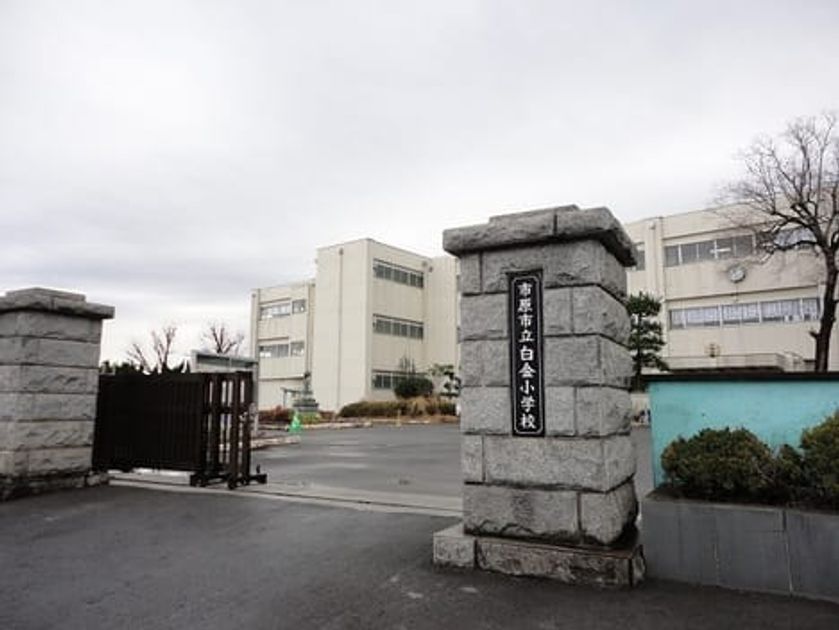 Naikan18 20260218000000 945x630