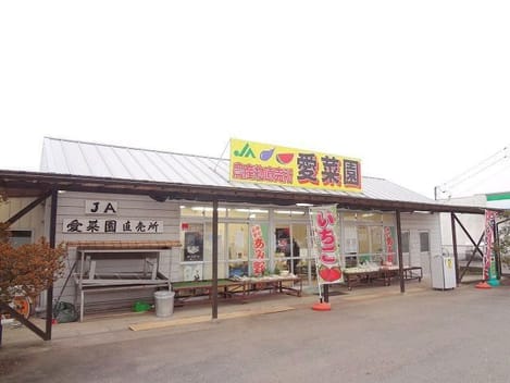 Naikan17 20220114000000