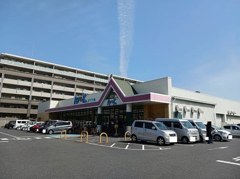 Naikan17 20260305000000