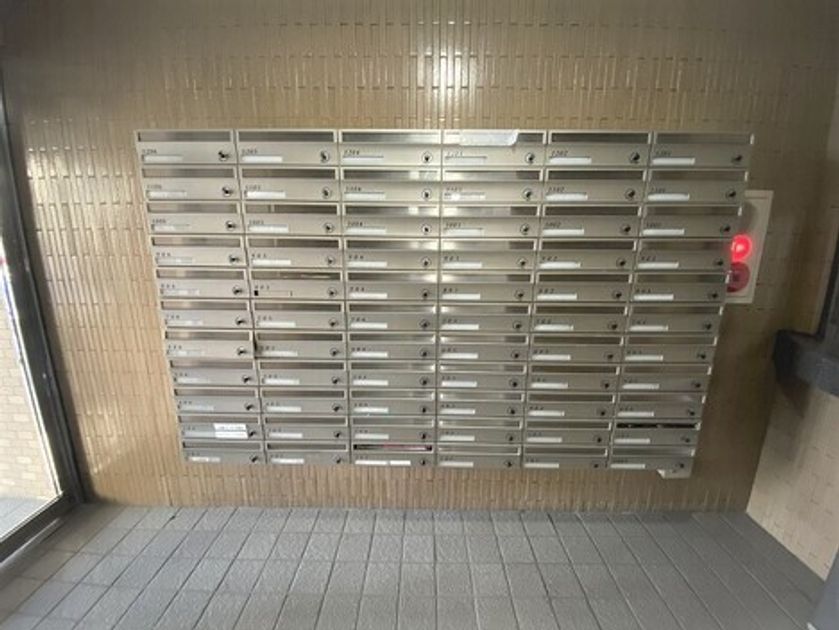 Naikan12 20260227174546 945x630