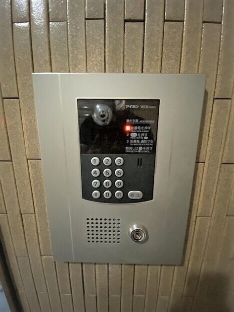 Naikan13 20260227174546 945x630