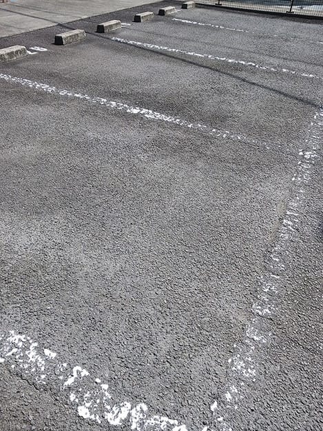 Naikan11 20260615000000