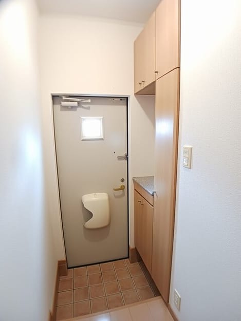 Naikan11 20260527000000