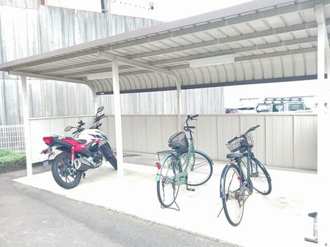 Naikan11 20260528000000